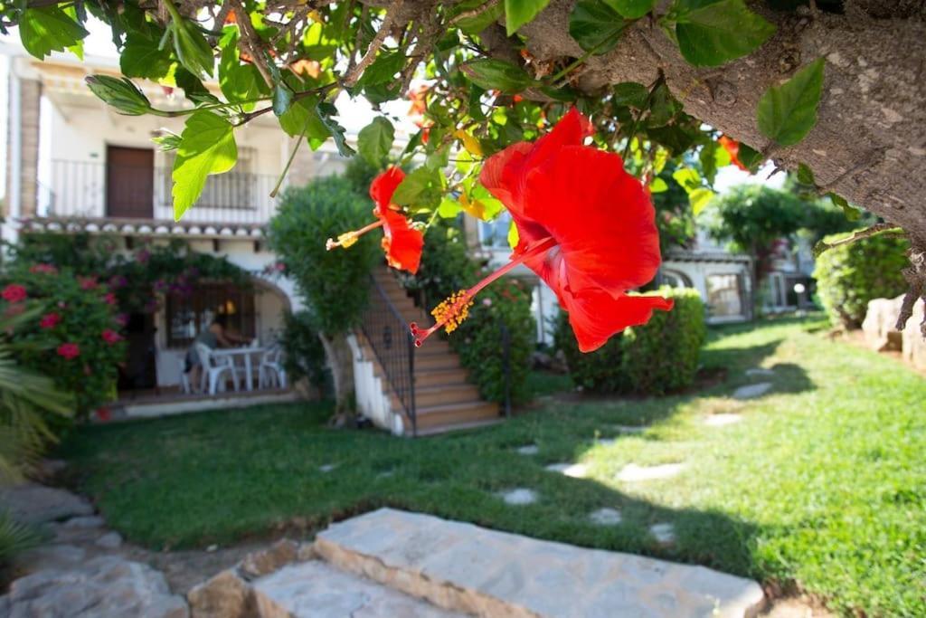 דירות Casa En Denia Con Piscina Y Jardin מראה חיצוני תמונה