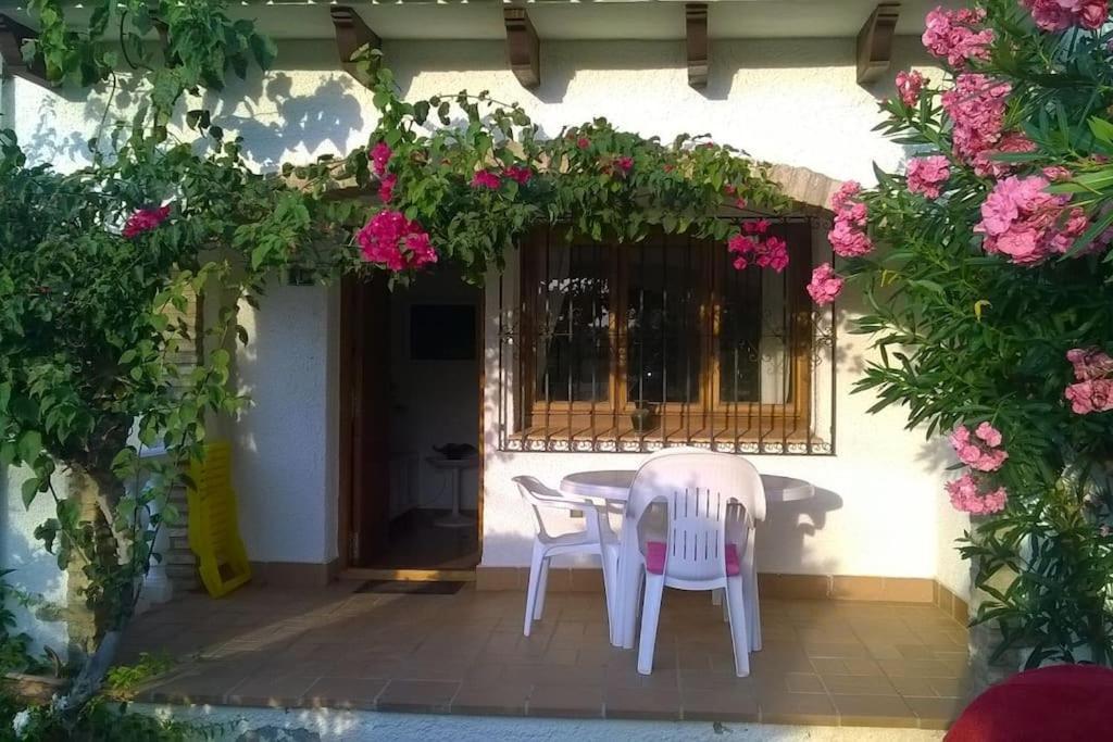 דירות Casa En Denia Con Piscina Y Jardin מראה חיצוני תמונה